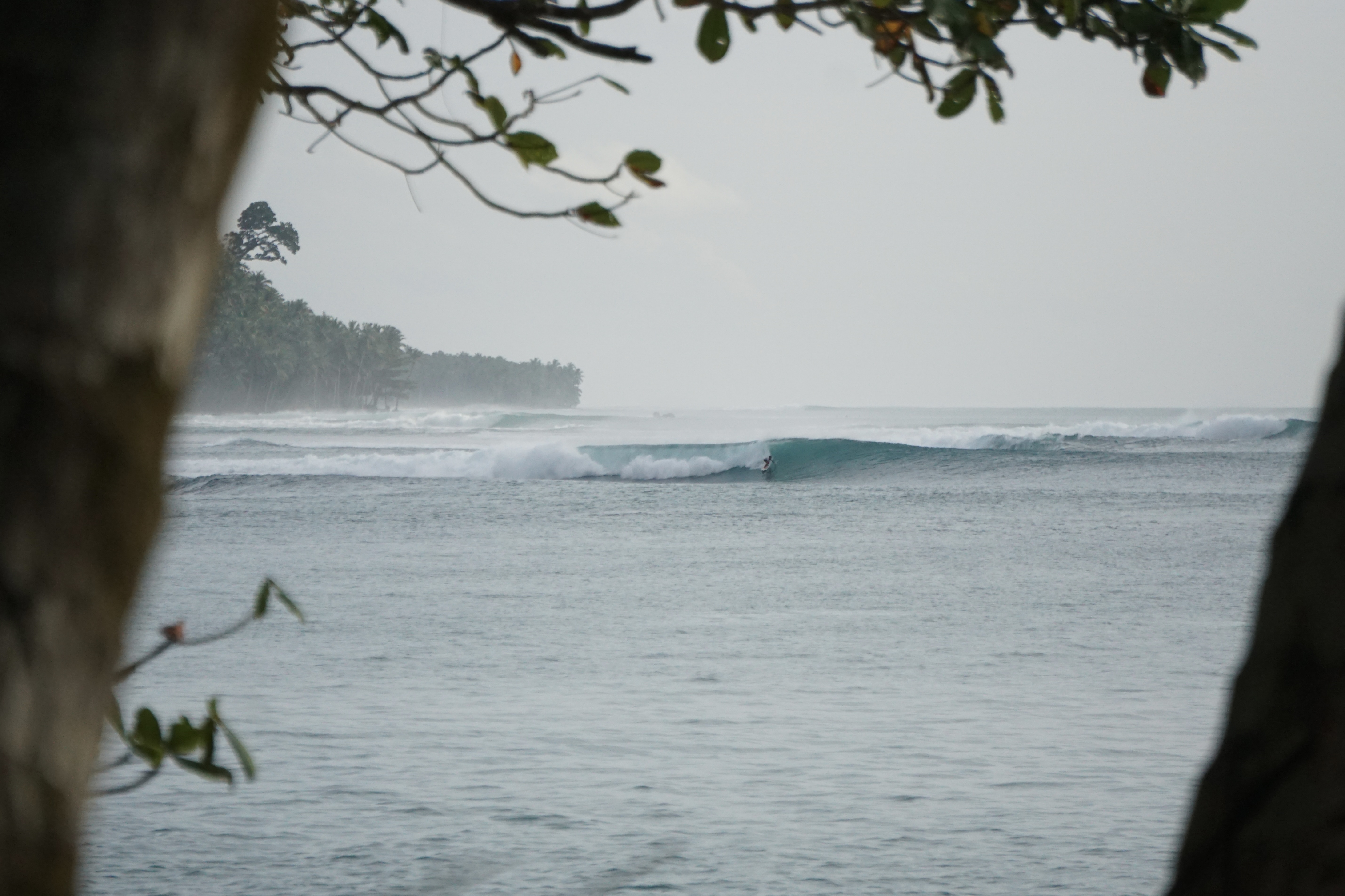 Surfer on a perfect wave at Purimanu, Mentawai Islands